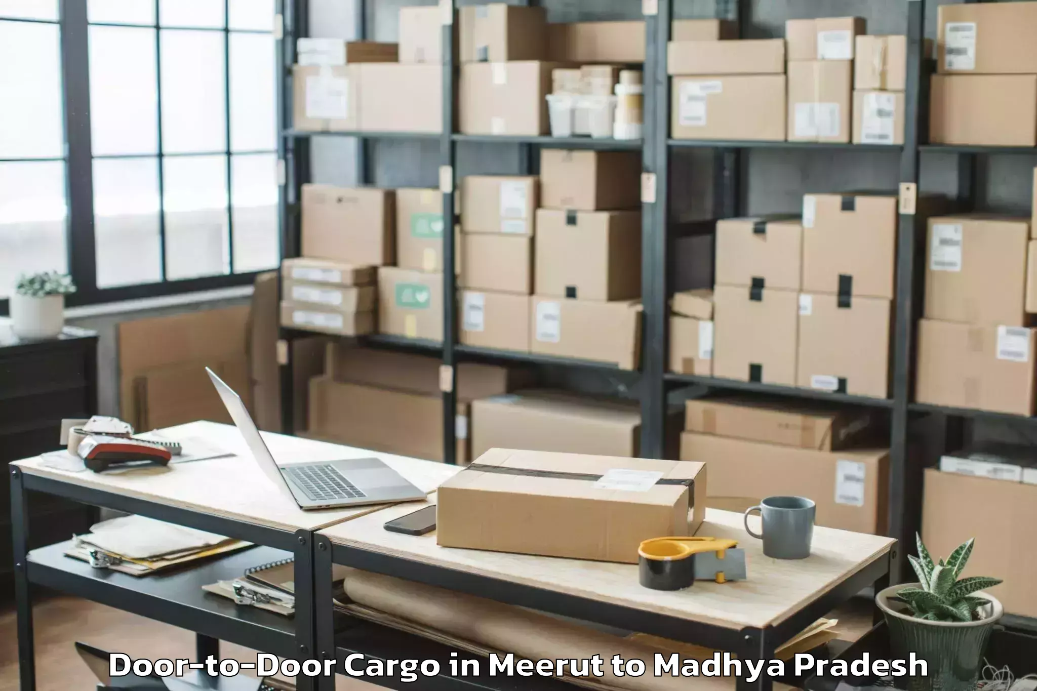 Trusted Meerut to Malhargarh Door To Door Cargo